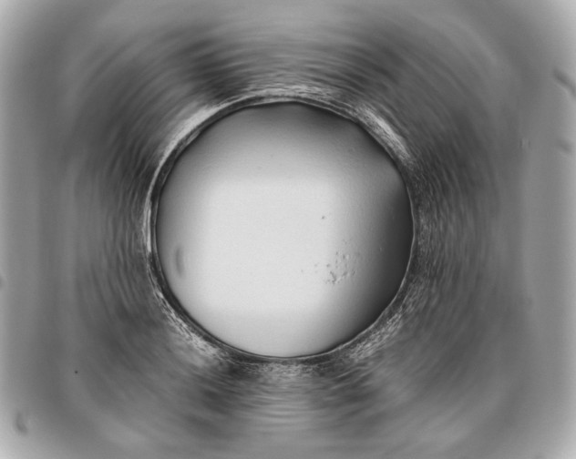 X0000096461036200802071829