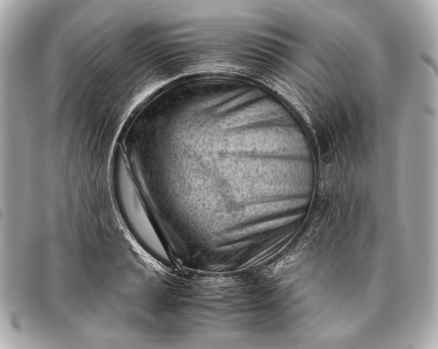 X0000096461037200802071829