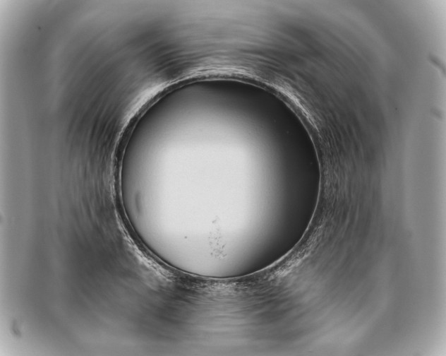 X0000096461038200802071829