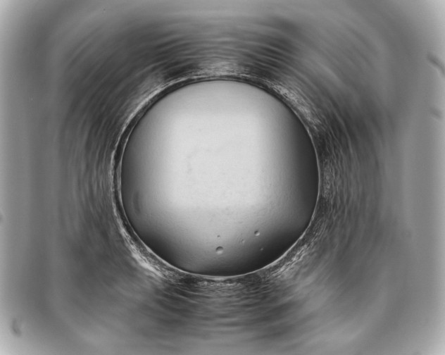 X0000096461039200802071829