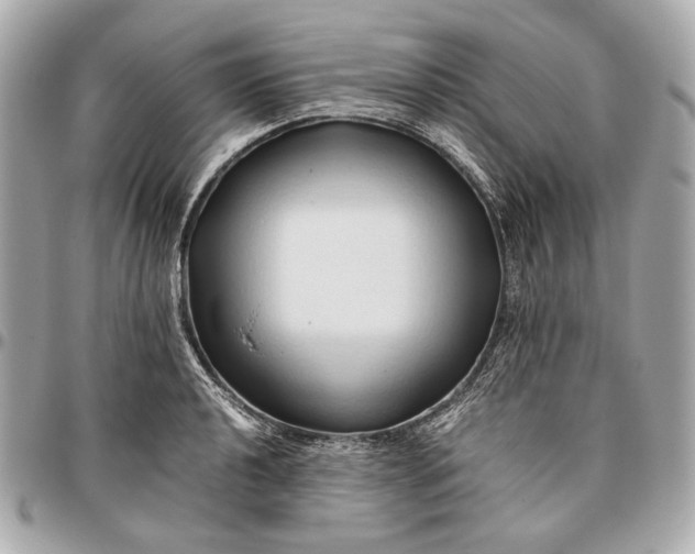X0000096461040200802071829