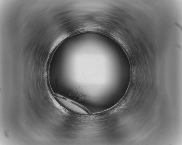X0000096461042200802071829