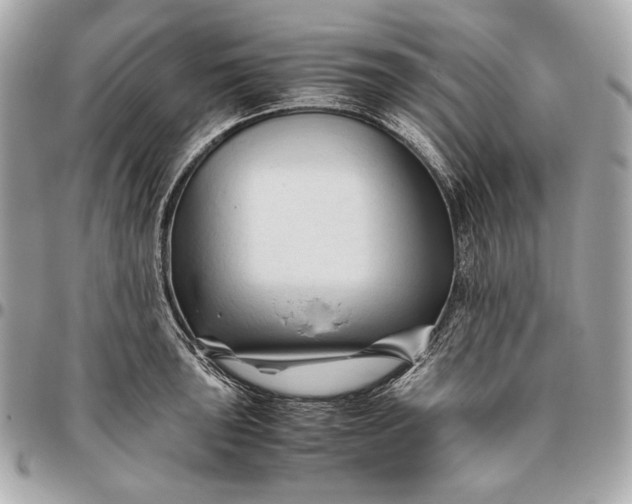 X0000096461043200802071829