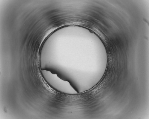 X0000096461044200802071829