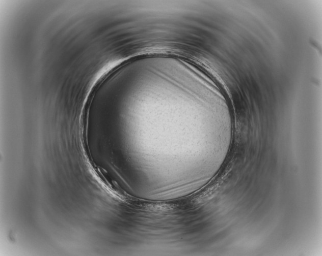 X0000096461045200802071829