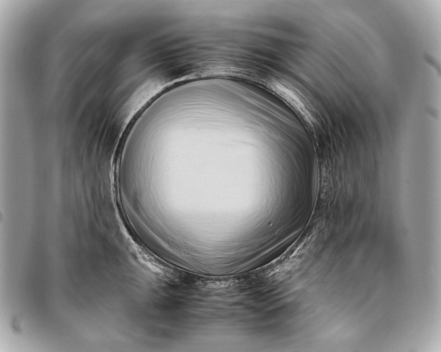 X0000096461047200802071829