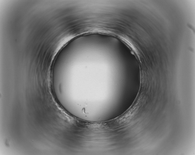 X0000096461048200802071829