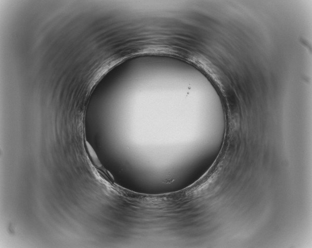 X0000096461049200802071829