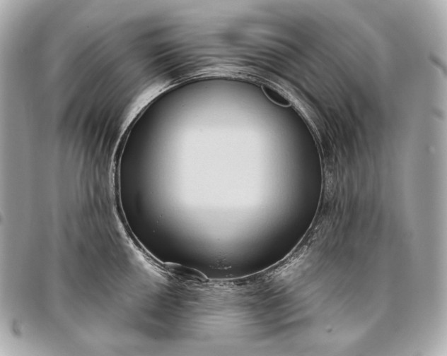 X0000096461050200802071829