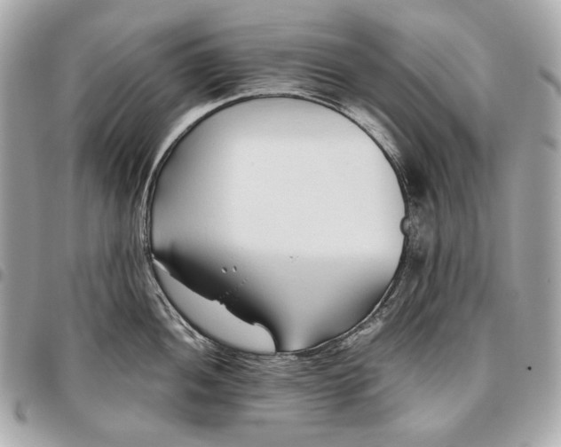X0000096461052200802071829