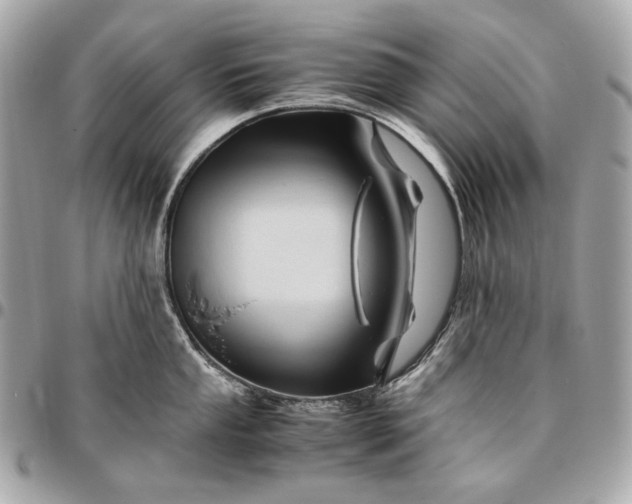 X0000096461053200802071829