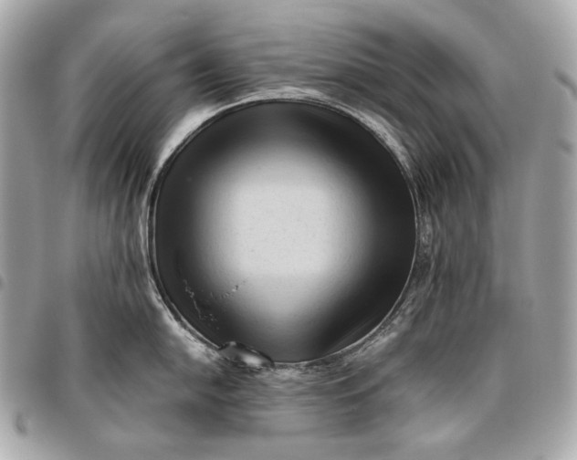 X0000096461054200802071829