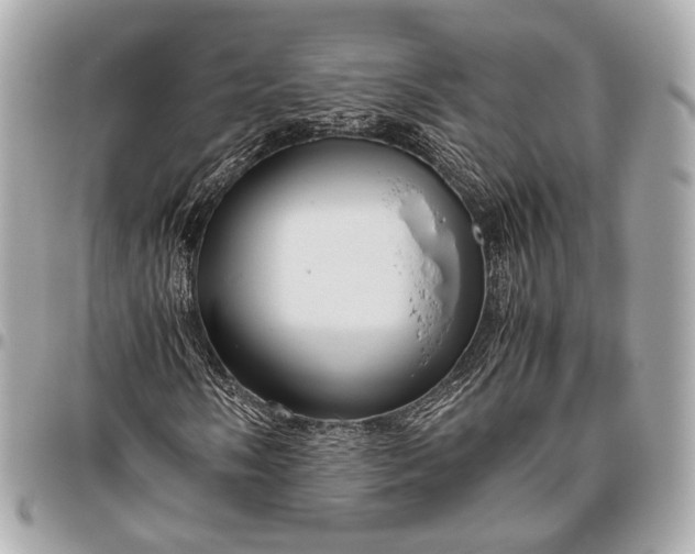 X0000096461058200802071829