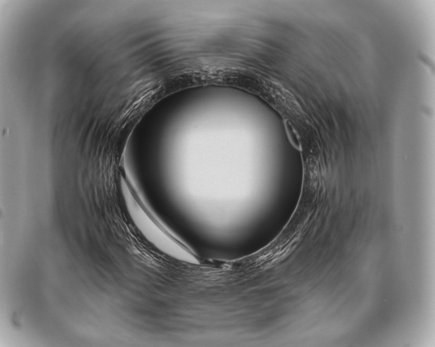 X0000096461060200802071829