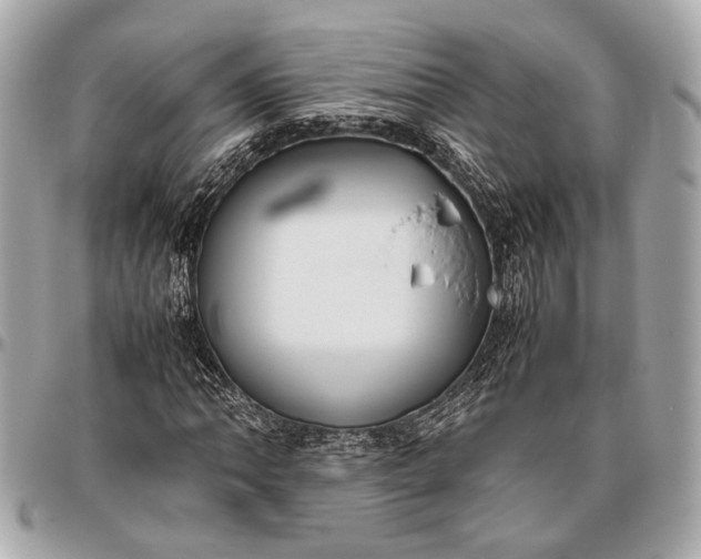 X0000096461062200802071829