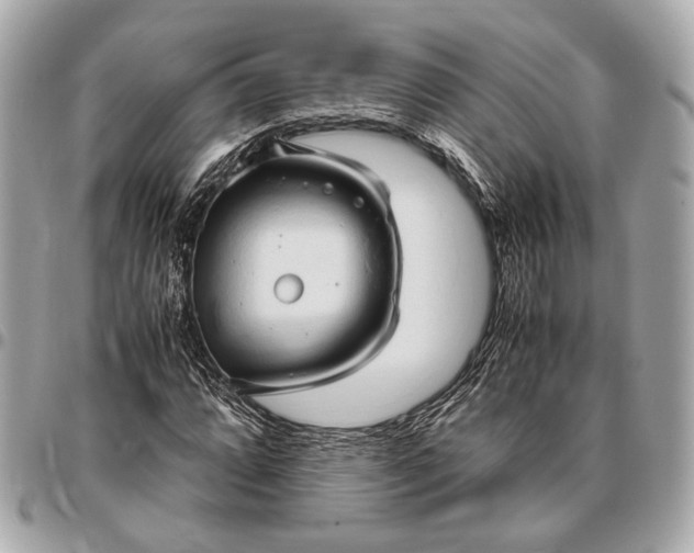 X0000096461064200802071829
