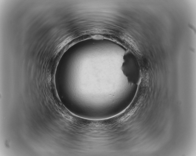 X0000096461065200802071829