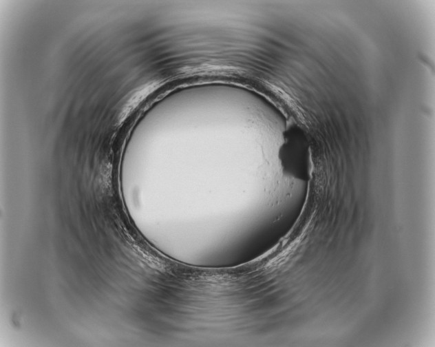 X0000096461066200802071829