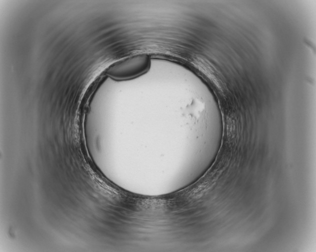 X0000096461068200802071829