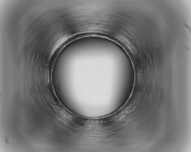 X0000096461069200802071829