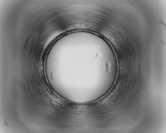X0000096461070200802071829