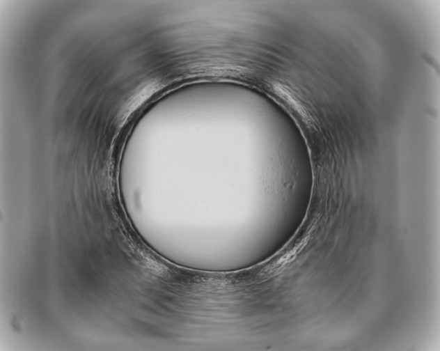 X0000096461071200802071829