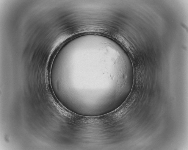 X0000096461072200802071829