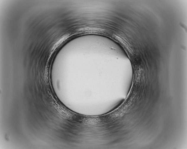 X0000096461074200802071829