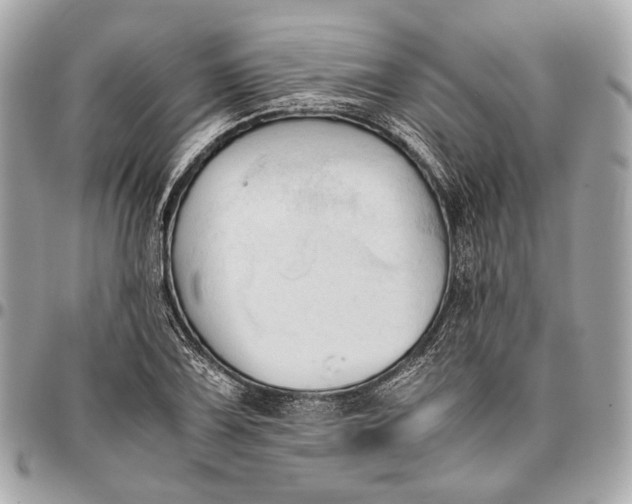 X0000096461075200802071829