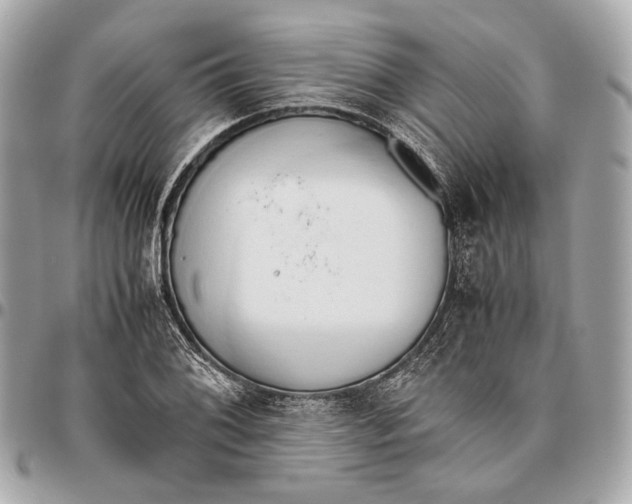 X0000096461076200802071829