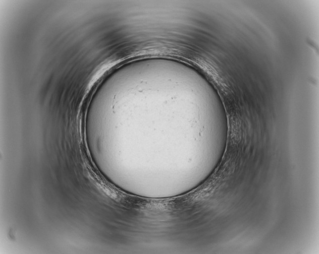 X0000096461078200802071829