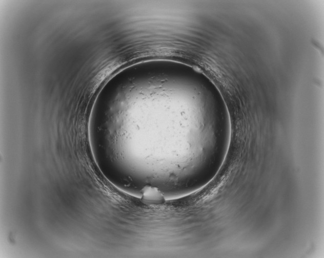 X0000096461081200802071828