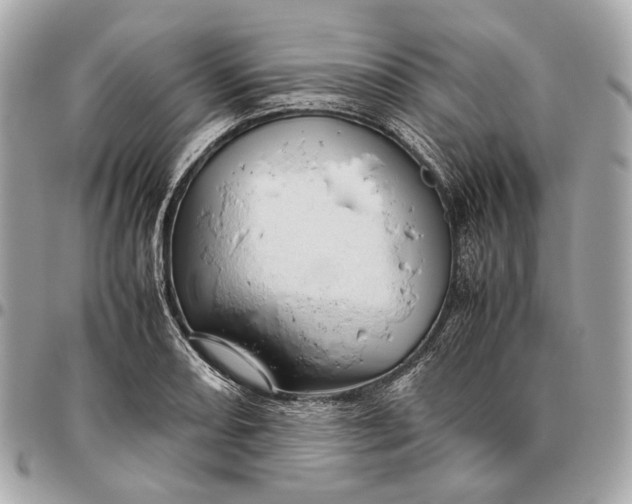 X0000096461082200802071828