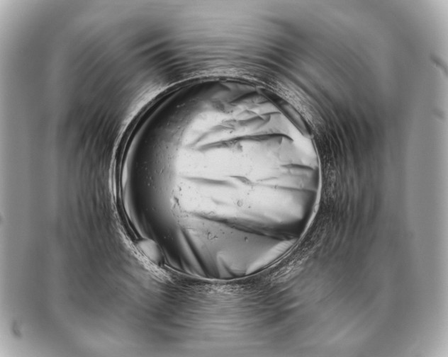 X0000096461084200802071828