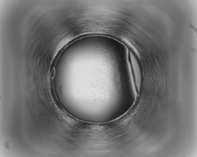 X0000096461085200802071828