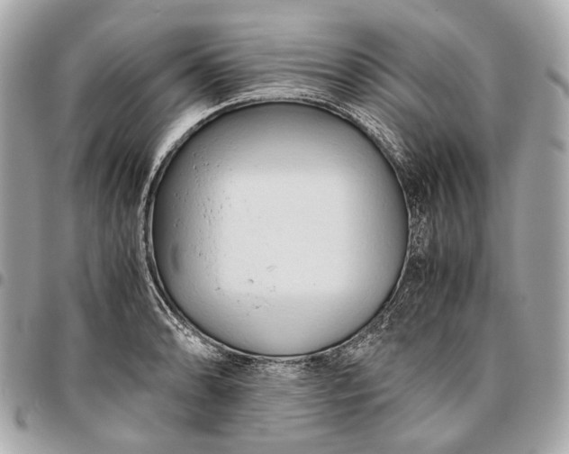 X0000096461086200802071828