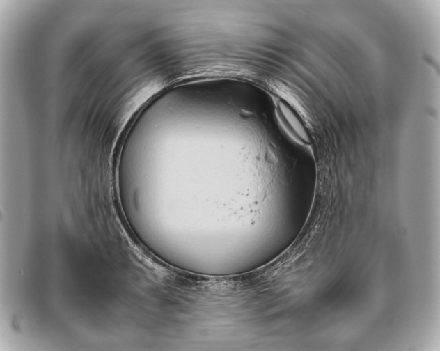X0000096461087200802071828
