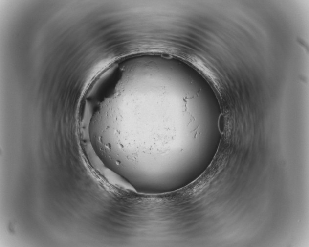 X0000096461088200802071828