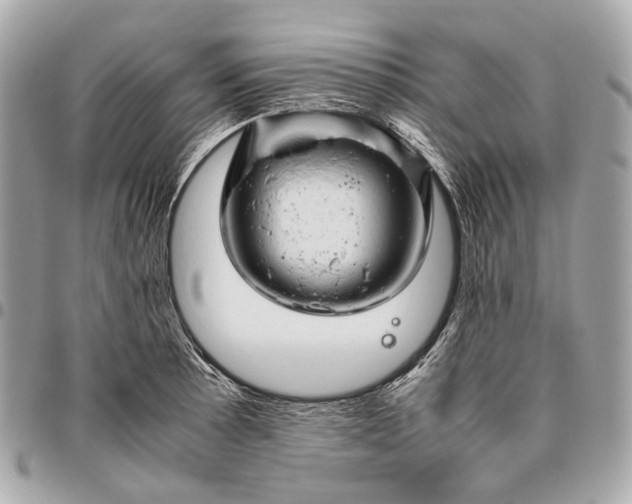 X0000096461089200802071828
