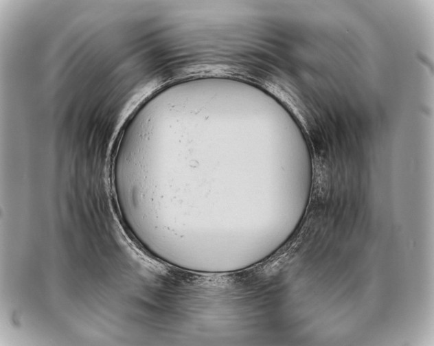 X0000096461090200802071828