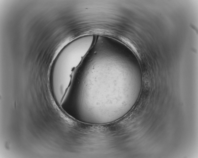 X0000096461091200802071828