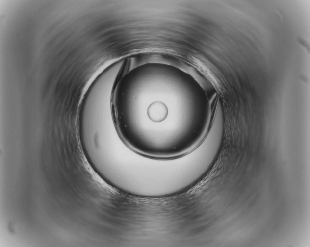 X0000096461092200802071828