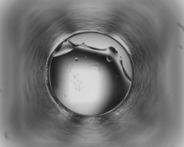 X0000096461093200802071828