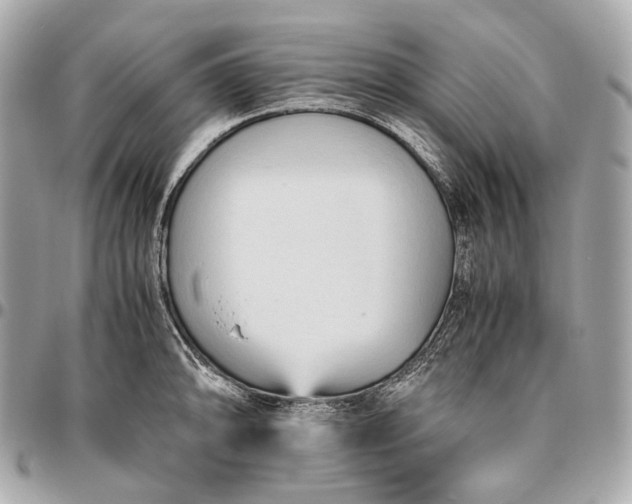 X0000096461094200802071828