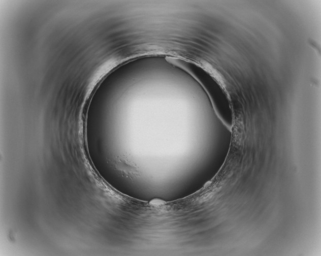 X0000096461096200802071828