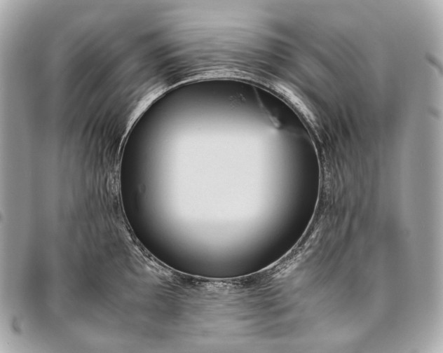 X0000096461097200802071828