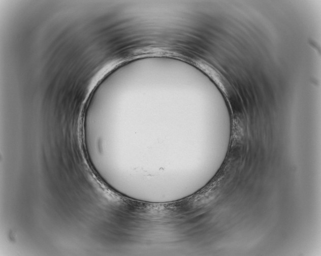 X0000096461098200802071828