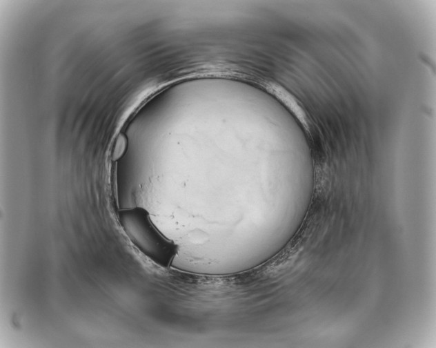 X0000096461099200802071828