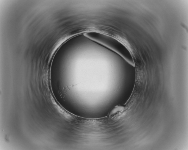 X0000096461100200802071828