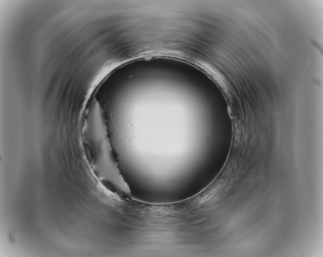 X0000096461102200802071828